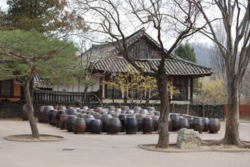 Gyeongbok Palace and Korean Folk Village Tour