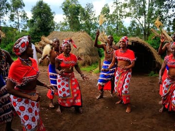 Nairobi Full Day Tour: Giraffe Centre and Wildlife Trust