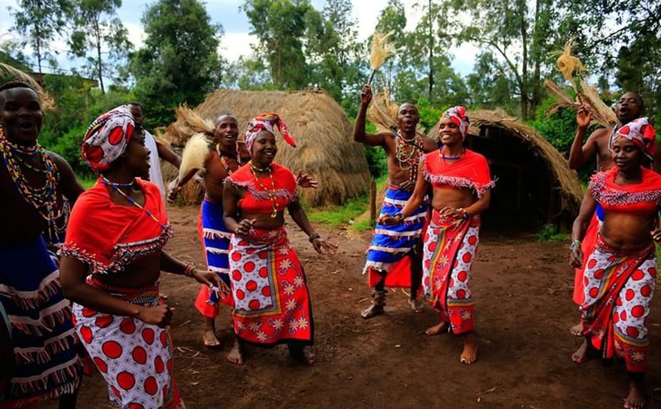 Nairobi Full Day Tour: Giraffe Centre and Wildlife Trust