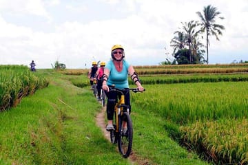 Ubud Rice Field and Village Cycling Tour in Indonesia