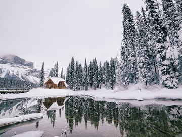 Full-Day Tour of Lake Louise, Emerald Lake & Peyto Lake