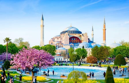 Private Guided Tour of Istanbul's Highlights in 1 or 2 Days