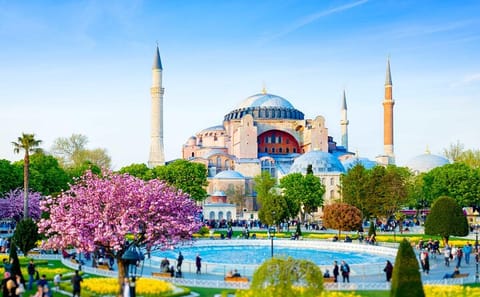 Private Guided Tour of Istanbul's Highlights in 1 or 2 Days