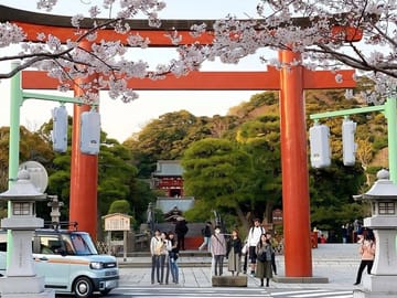 Explore Kamakura Great Buddha, Enoshima and Shonan Coast