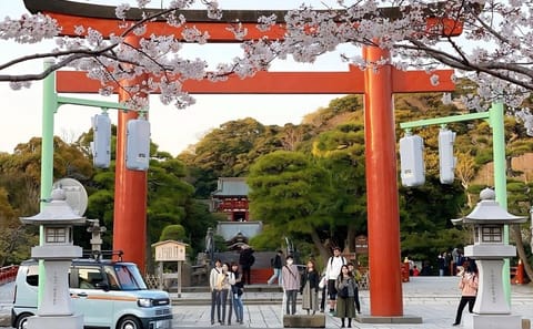 Explore Kamakura Great Buddha, Enoshima and Shonan Coast