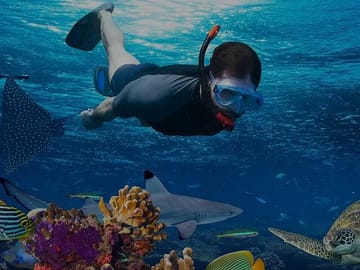 Snorkeling Adventure at Coral Reefs in Hurghada, Egypt
