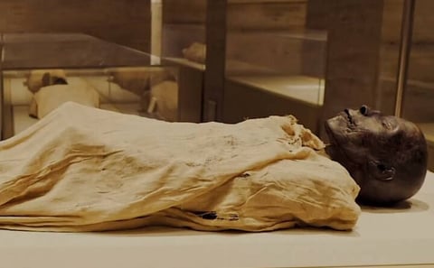 Half Day Tour To The National Museum of Egyptian Civilization