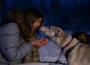 Husky Farm Visit – Meet Our Friendly Huskies!