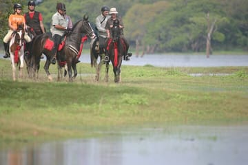 Half Day Horse Riding in Dambulla