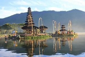 Explore The Best of Bali in a Day