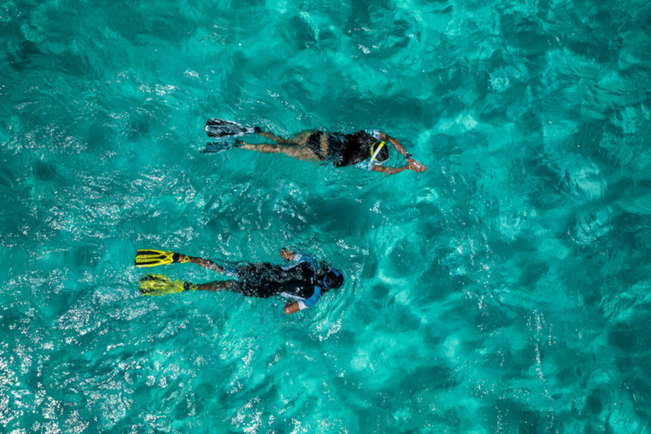 Snorkeling in Madeira 