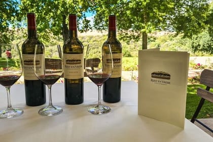 Private Full Day Stellenbosch Wine Tour