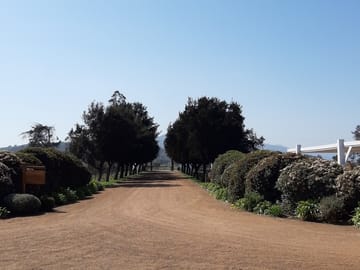 Half-Day Wine Tour at Concha y Toro in Pirque, Chile