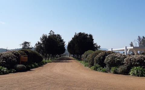 Half-Day Wine Tour at Concha y Toro in Pirque, Chile