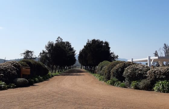 Shared Half day wine tour Concha y Toro seasonal offer