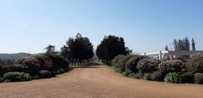 Shared Half day wine tour Concha y Toro seasonal offer 2