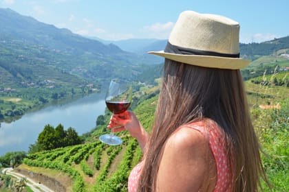 From Porto: Small Group Douro Valley Wine Tour