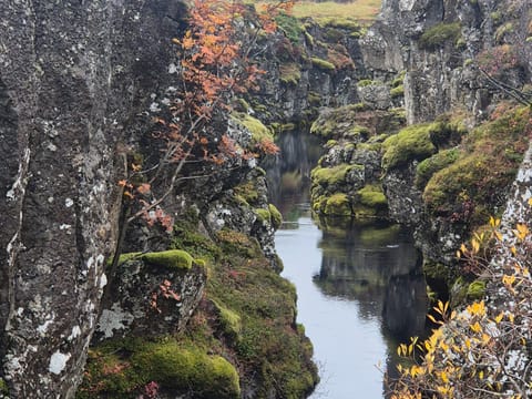 þingvþingvellir national parkellir national park