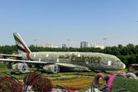 Miracle Garden & Global Village Entrance with Transportation  10