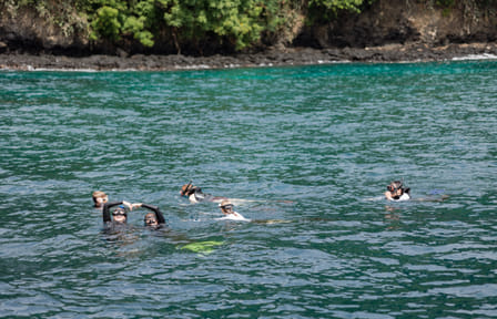 Snorkeling Adventure at Livingseas Coral Restoration Site, Bali