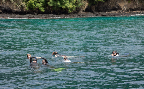 Snorkeling Adventure at Livingseas Coral Restoration Site, Bali