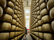 Parmesan Cheese Tour & Tasting in Modena 9