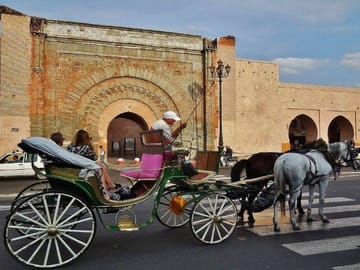 Private One-Hour Horse Carriage Tour in Marrakech Medina