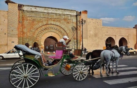 Marrakech: 1H-Horse carriage private tour in madina w/ pick-up
