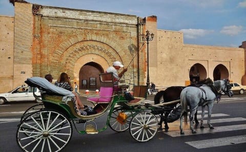 Private One-Hour Horse Carriage Tour in Marrakech Medina