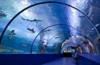 Antalya: Aquarium, Wax Museum & Combo Package Options 9