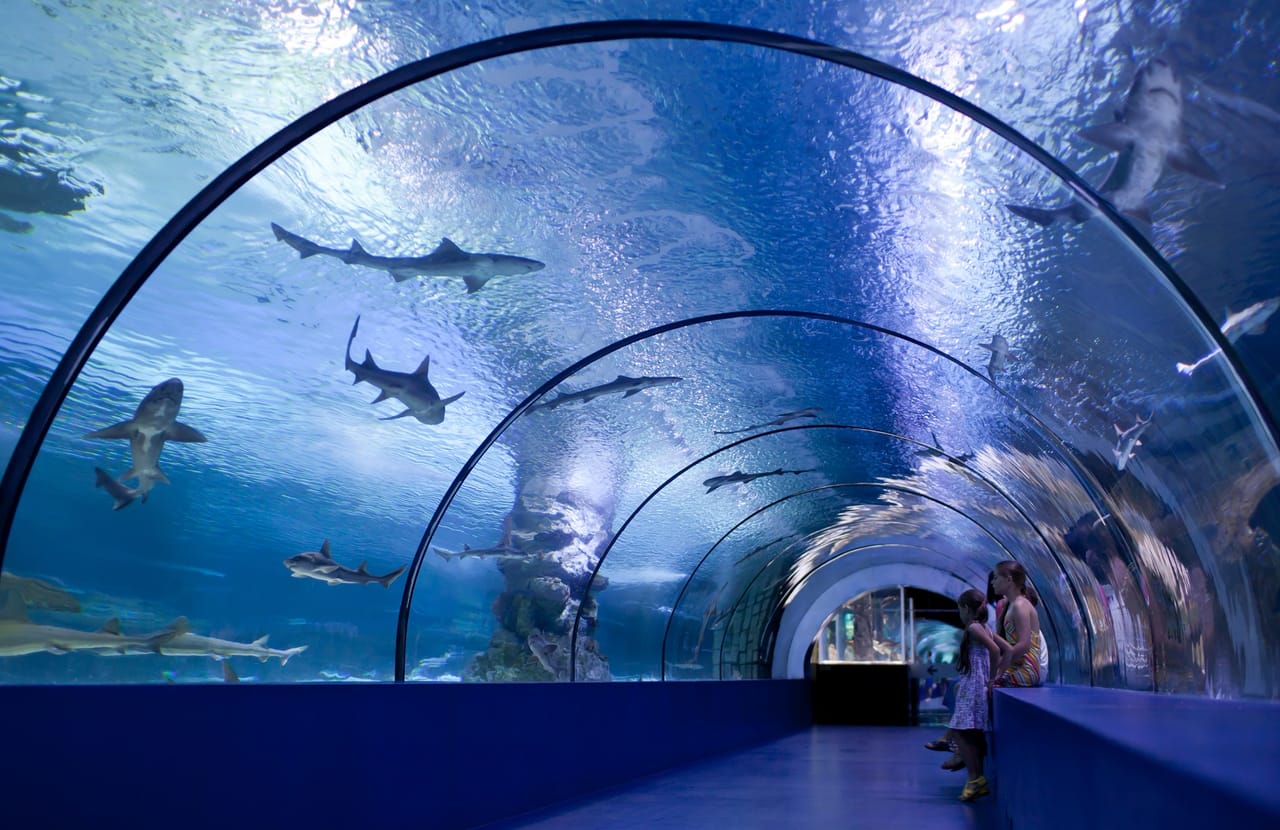 Antalya: Aquarium, Wax Museum & Combo Package Options 9