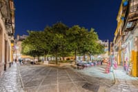 Cadiz to Seville Shore Excursion: Guided Tour with Skip-the-Line Tickets 9