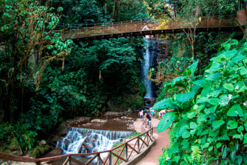 Amazon Jungle Adventure Tour in Oxapampa, Peru