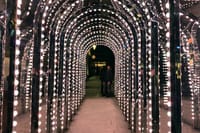 London's City Lights by Night Private Tour 4
