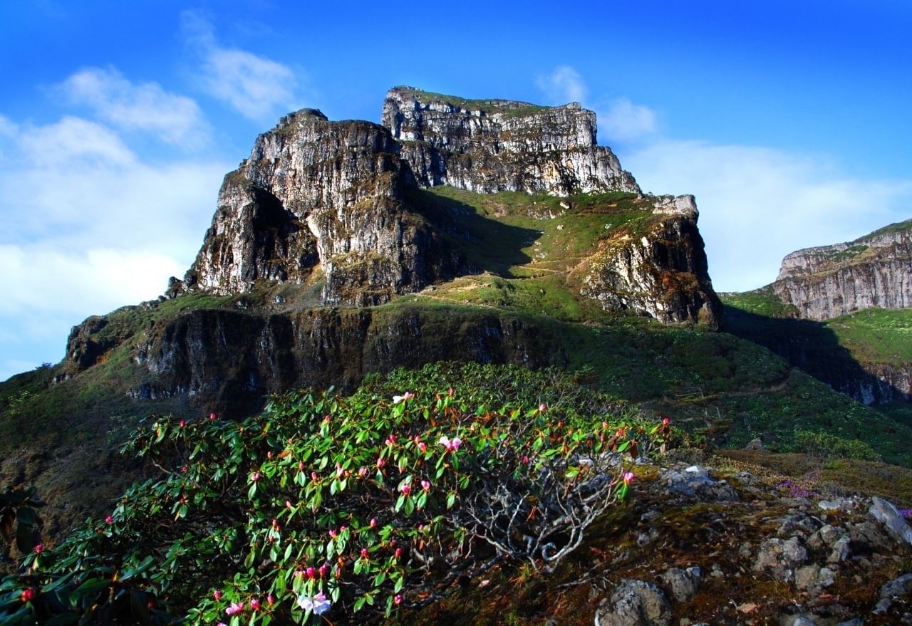 Jiaozi Moutain mountaintop