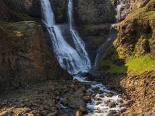Private Eastfjords Seasonal Wildlife Tour from Seyðisfjörður, photo 14