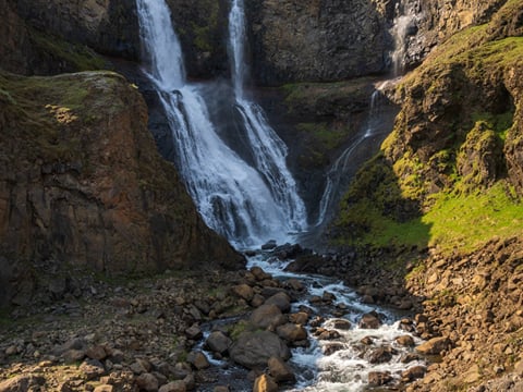 Private Eastfjords Seasonal Wildlife Tour from Seyðisfjörður, photo 14