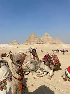 March - April, Oct - Nov 2025 ~ Egyptian, Peak Adventures ~ Guided *TREK*CLIMB*SOAR*SAIL