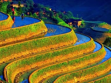 Small Group: Longji Rice Terraces & Minority Village Tour
