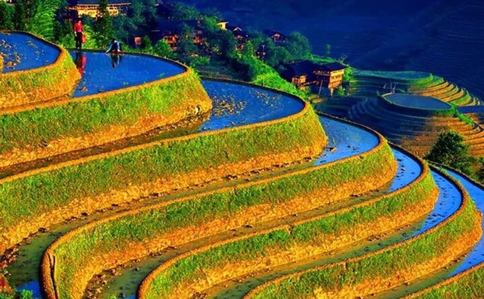 Longji Rice Terraces and Minority Village Small Group Tour