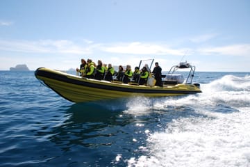 Solar Eclipse Viewing by RIB Speedboat in Reykjavík