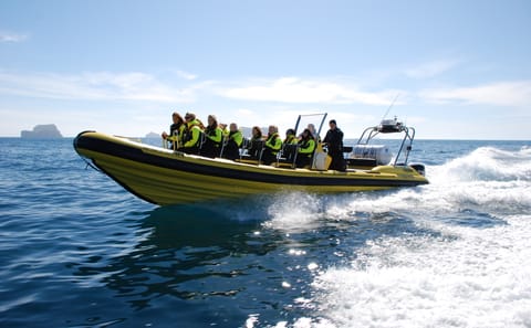 Solar Eclipse Viewing by RIB Speedboat in Reykjavík