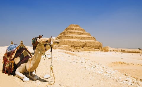 Giza Pyramids and Saqqara Full-Day Guided Tour from Cairo