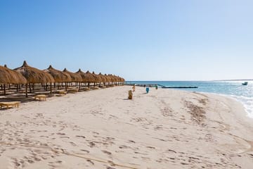 Snorkeling Tour at Hula Hula Island in Hurghada with Lunch