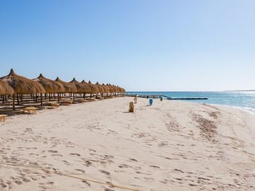 Snorkeling Tour at Hula Hula Island in Hurghada with Lunch