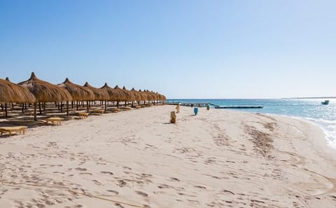 Snorkeling Tour at Hula Hula Island in Hurghada with Lunch
