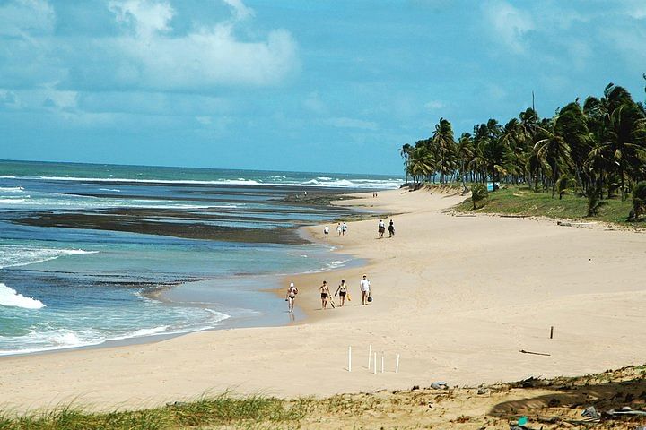 Praia do Forte & Guarajuba Beach Adventure: Explore Brazil’s Best Beaches