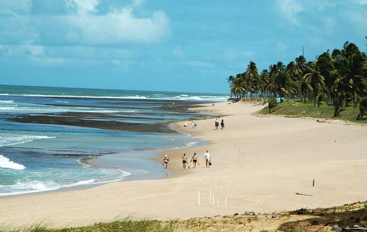 Praia Do Forte & Guarajuba Beach Day Trip