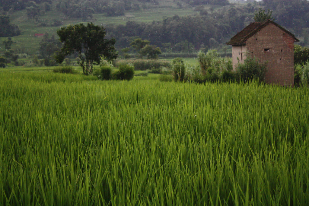 19 Days Mera Peak Climbing & Expedition – One Life-Changing Himalayan Adventure