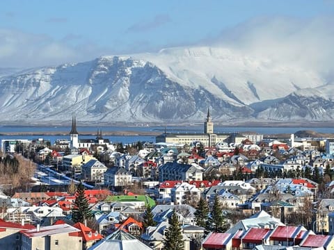 4 Hours Private Guided Tour in Reykjavík, photo 4